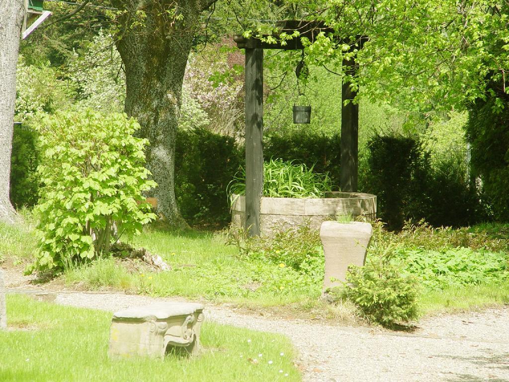 Parc Hotel Wangenbourg-Engenthal Buitenkant foto